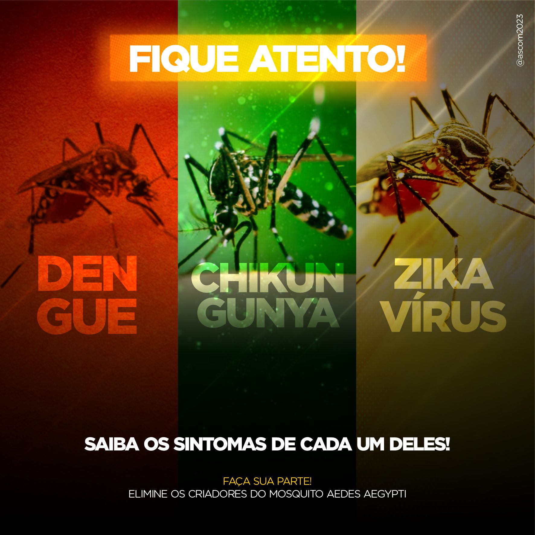 Dengue, Zika, Chikungunya e Covid-19: Como distinguir cada doença e a importância de diagnosticar